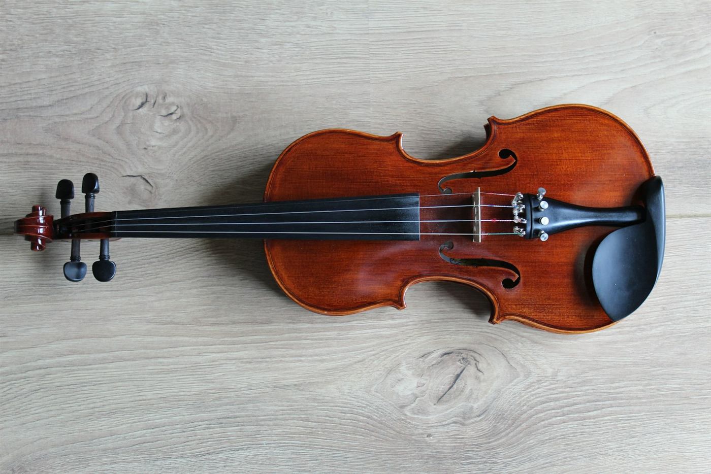 Close view of a violin's carved wooden body and strings